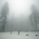 Illustration for article titled Sochi Organizers Attempt To Clear Fog With Giant Fans